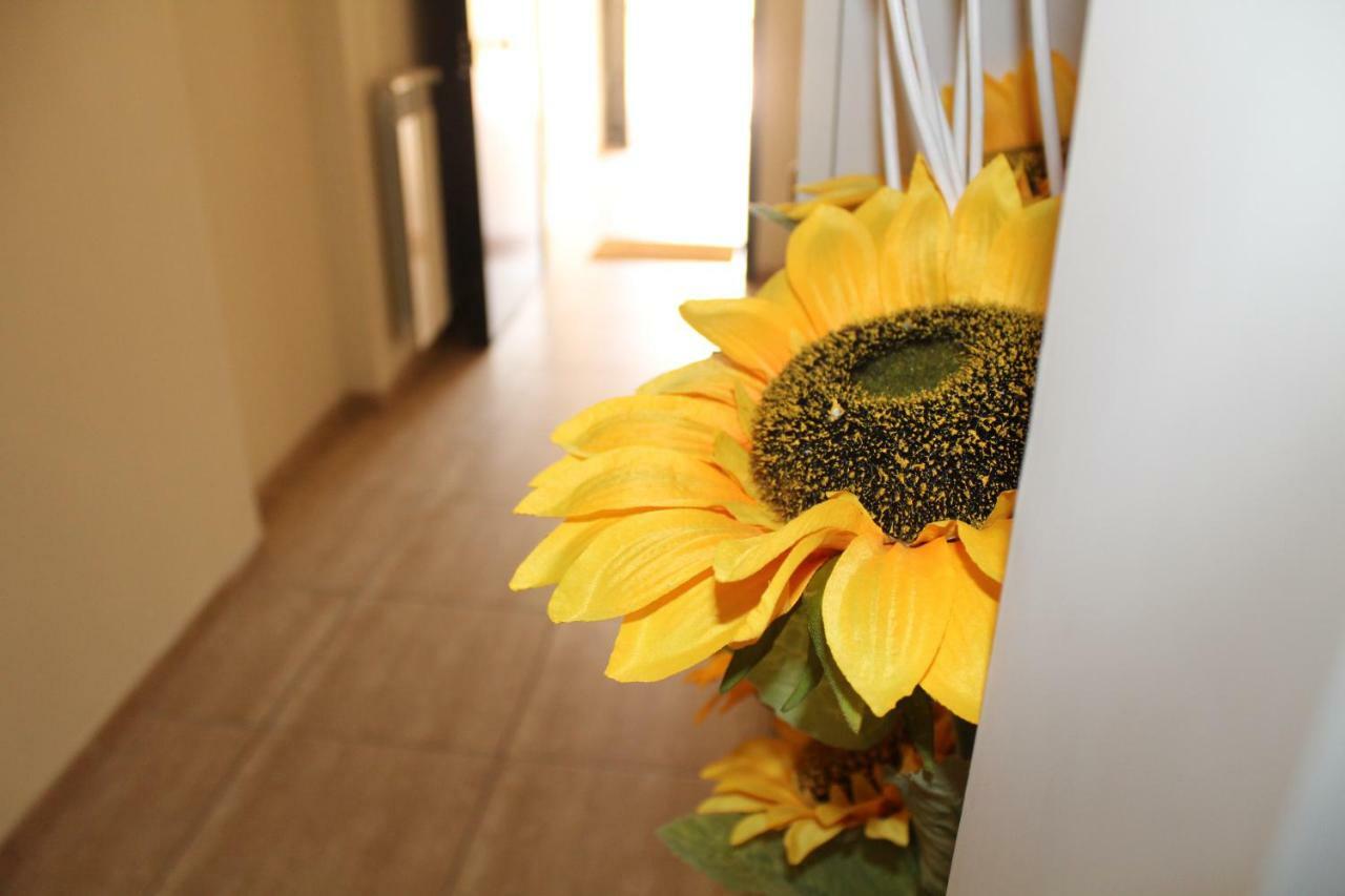 Appartement L'occhio Sul Vesuvio Con Terrazza Privata E Casa Senza Terrazza Privata